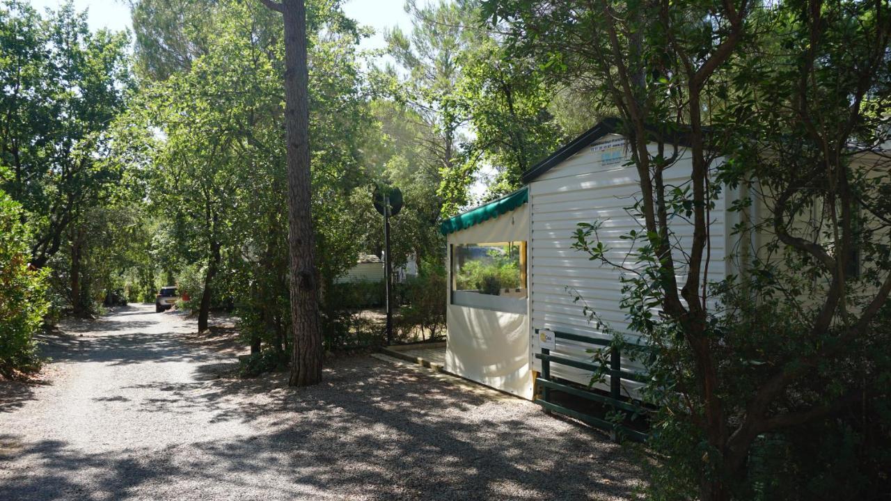 Chalets Met Buitenkeuken Op Camping Lei Suves - Joycasa Roquebrune-sur Argens Ngoại thất bức ảnh