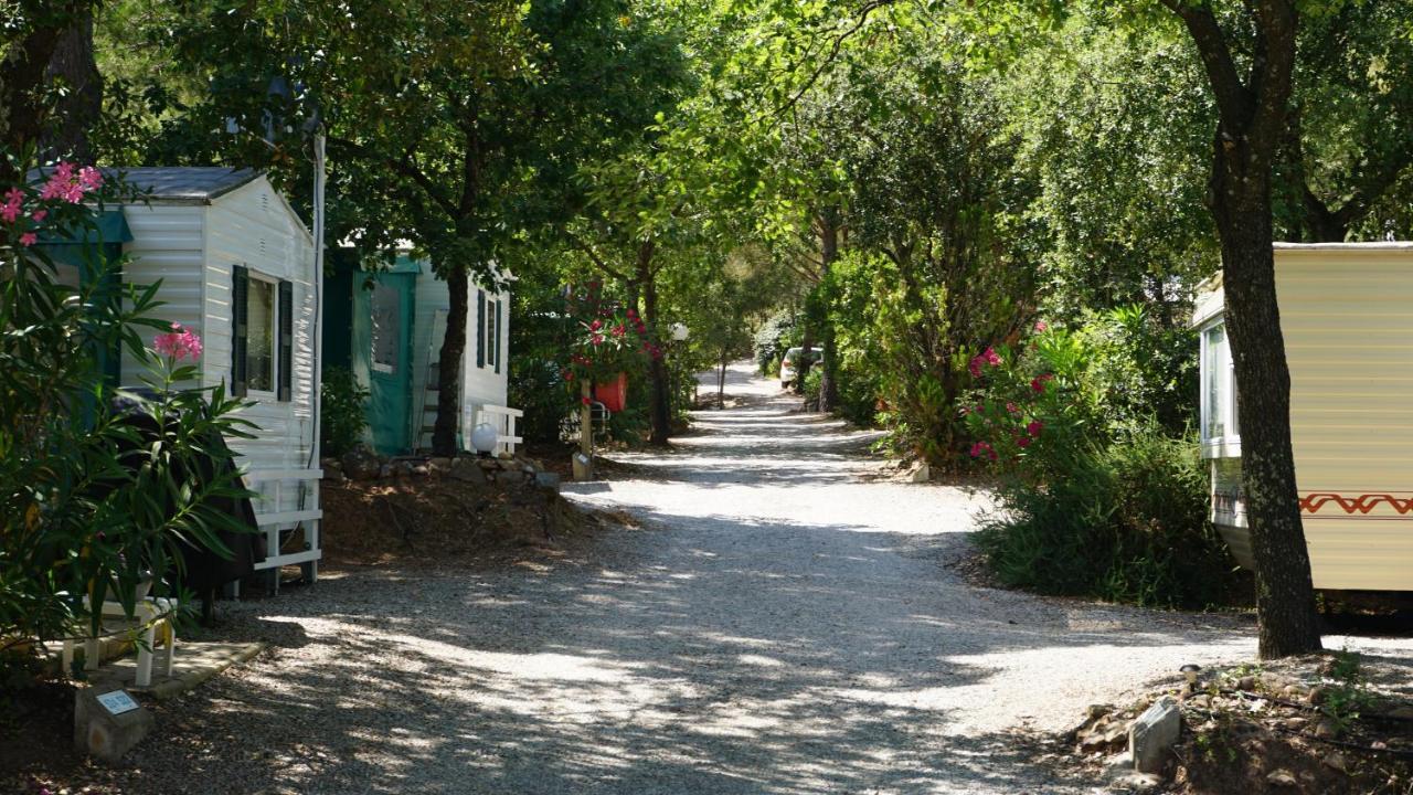 Chalets Met Buitenkeuken Op Camping Lei Suves - Joycasa Roquebrune-sur Argens Ngoại thất bức ảnh