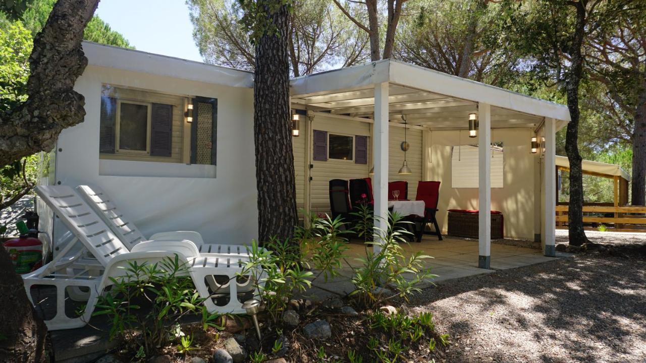 Chalets Met Buitenkeuken Op Camping Lei Suves - Joycasa Roquebrune-sur Argens Ngoại thất bức ảnh