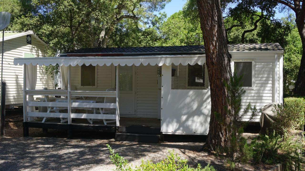 Chalets Met Buitenkeuken Op Camping Lei Suves - Joycasa Roquebrune-sur Argens Ngoại thất bức ảnh