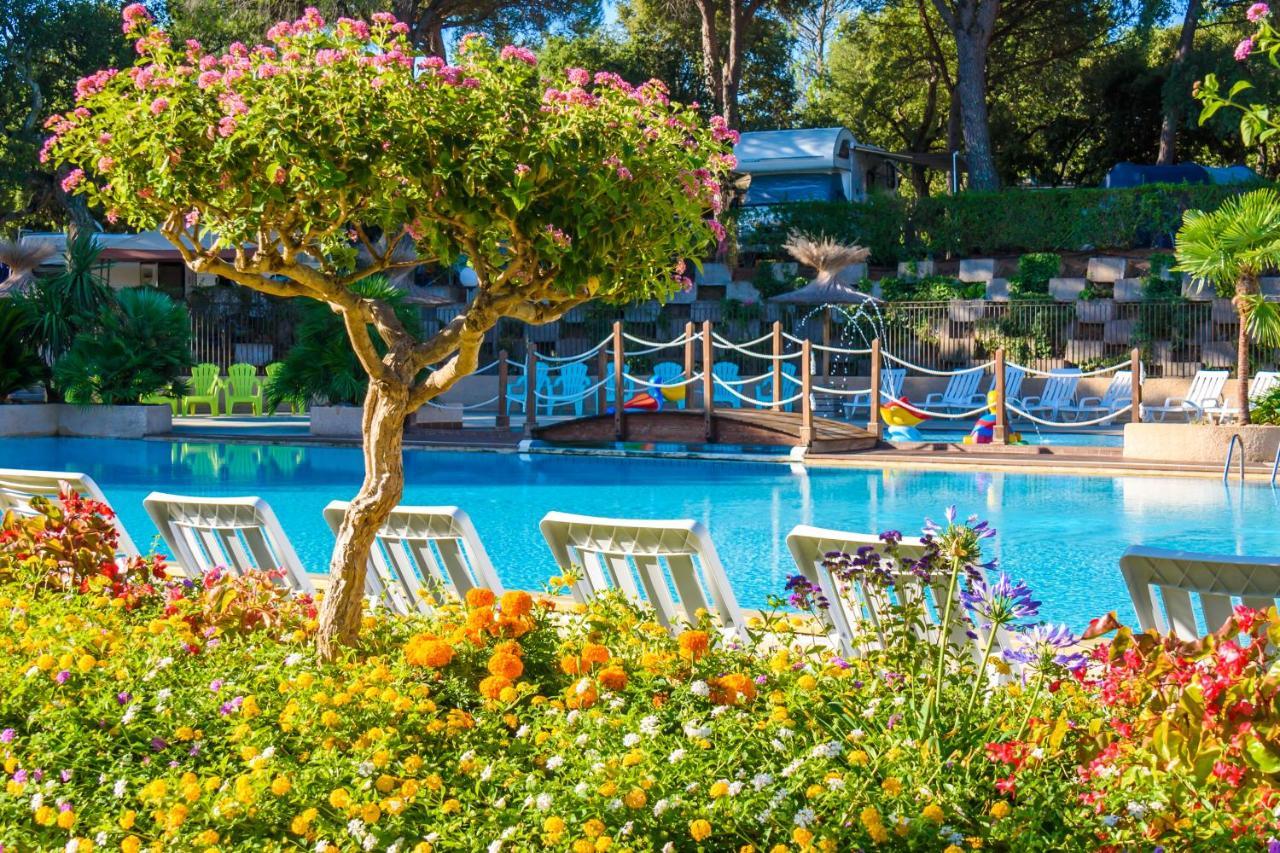 Chalets Met Buitenkeuken Op Camping Lei Suves - Joycasa Roquebrune-sur Argens Ngoại thất bức ảnh