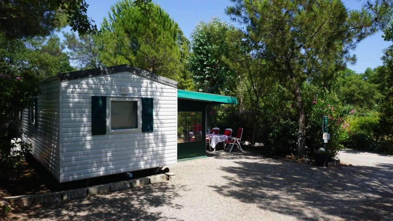 Chalets Met Buitenkeuken Op Camping Lei Suves - Joycasa Roquebrune-sur Argens Ngoại thất bức ảnh