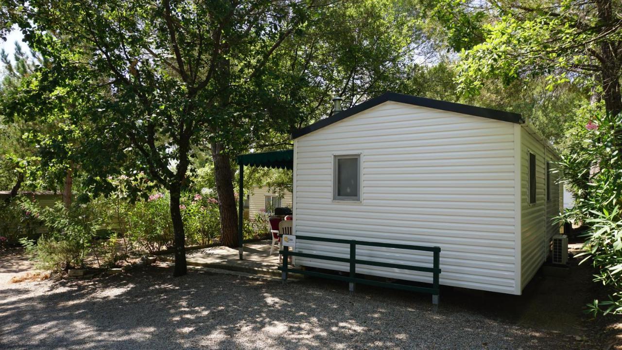 Chalets Met Buitenkeuken Op Camping Lei Suves - Joycasa Roquebrune-sur Argens Ngoại thất bức ảnh