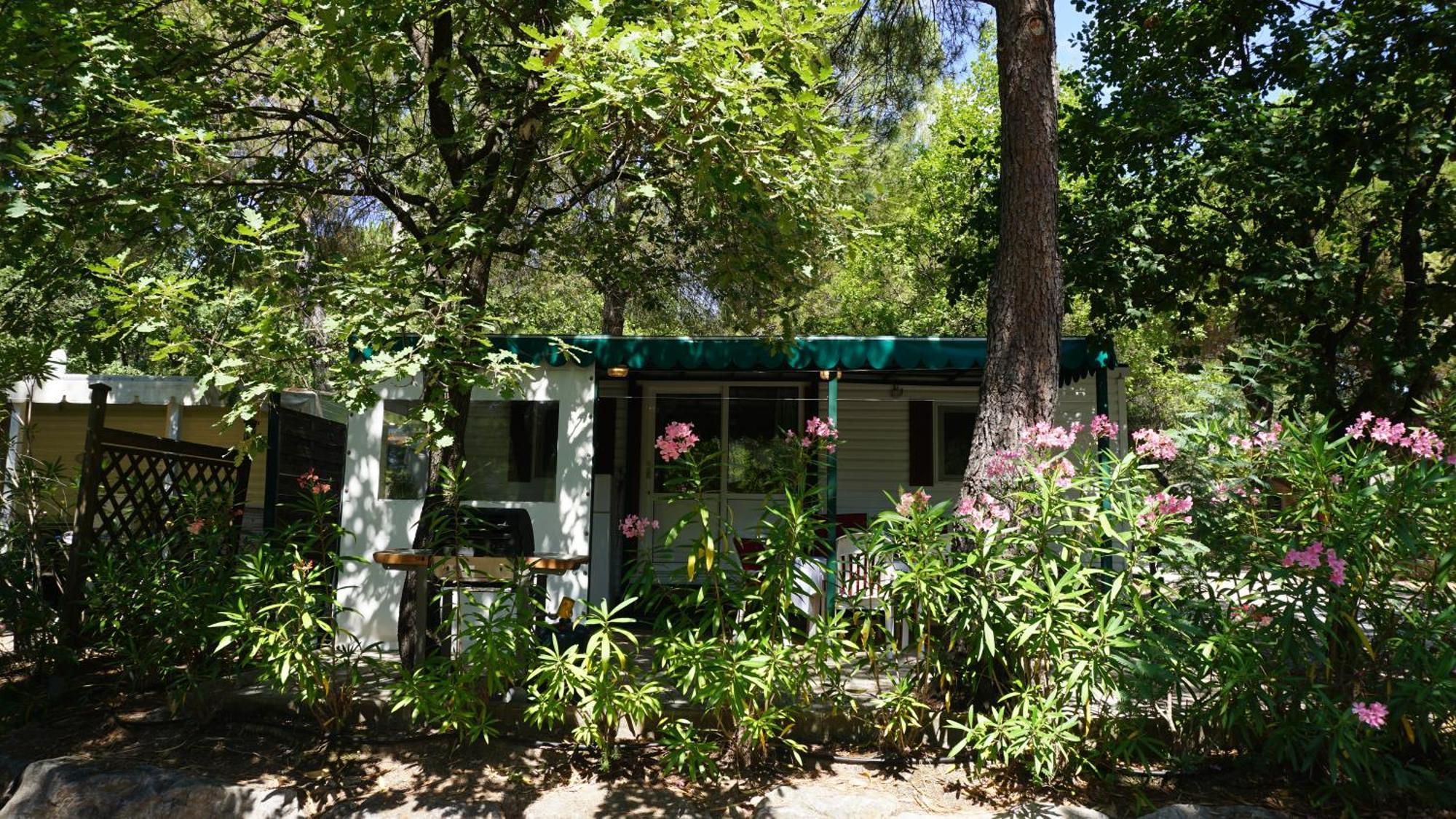 Chalets Met Buitenkeuken Op Camping Lei Suves - Joycasa Roquebrune-sur Argens Phòng bức ảnh
